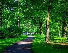 包含夏季联赛八强战激情夜！阿尔卡拉斯里突外投，达拉斯独行侠绝杀巴塞罗那的词条